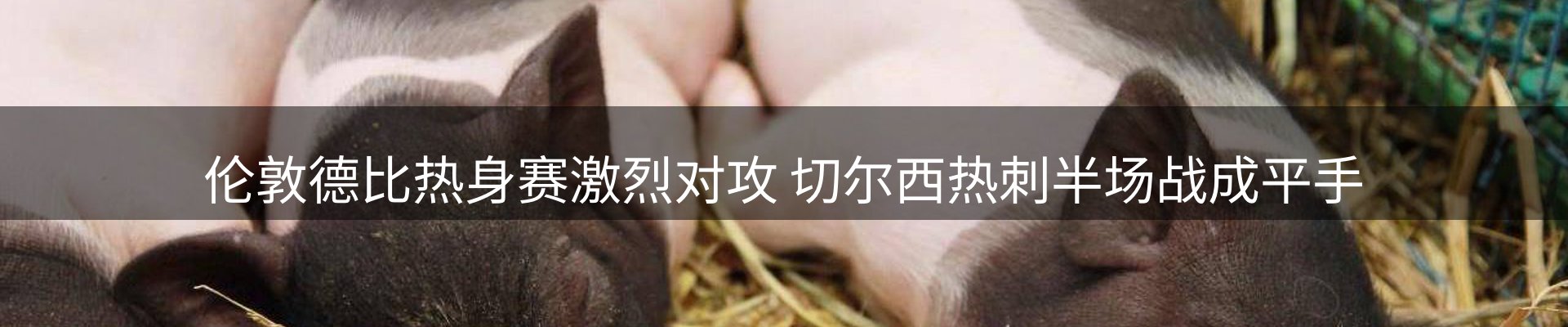 新闻优选